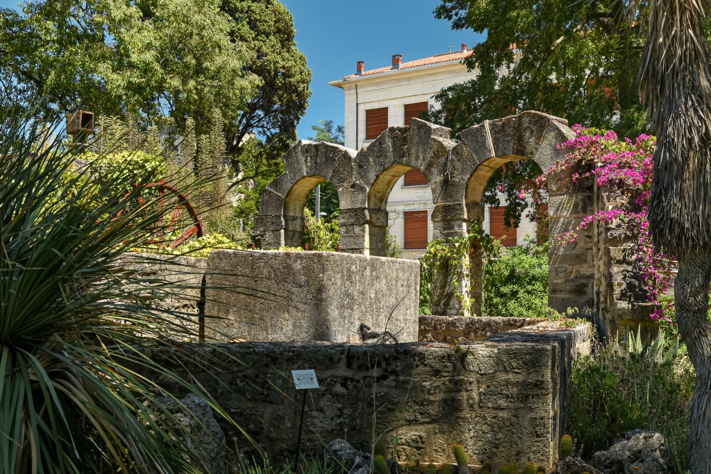 Le-jardin-des-plantes-montpellier